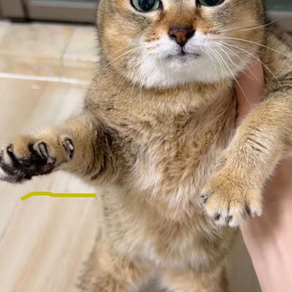 Amber glass bottle of BRAND Eye Contour Serum with a black cap on a sunlit wooden surface.
