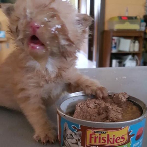 Bottle of Aurexon BRAND Wash and a natural sponge by a window, framed by a person's bent arm and leg with visible dry skin.