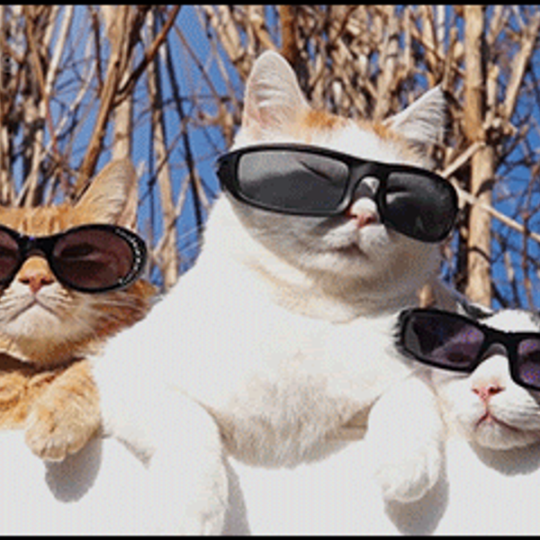 Bottle of Aurexon BRAND Wash and a natural sponge by a window, framed by a person's bent arm and leg with visible dry skin.