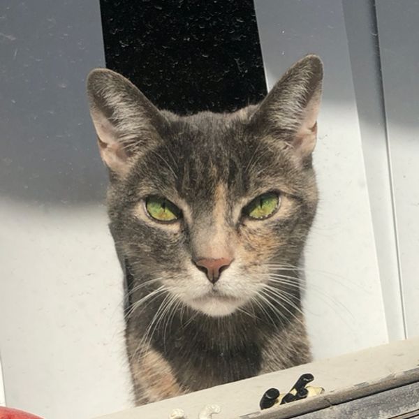 Choose ones the best.